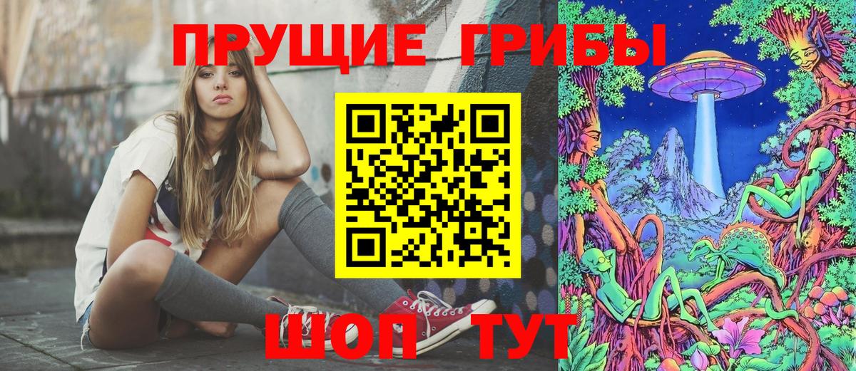 Псилоцибиновые грибы Cubensis Владивосток
