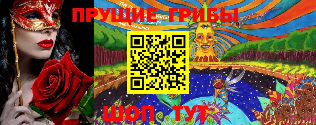 Галлюциногенные грибы мицелий  Вход с VPN  Владивосток 